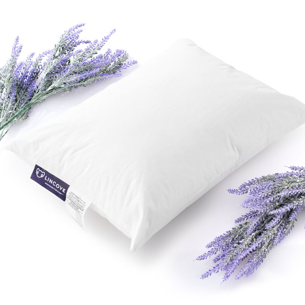 Sheets White Toddler Pillows & Pillow Cases You'll Love Wayfair